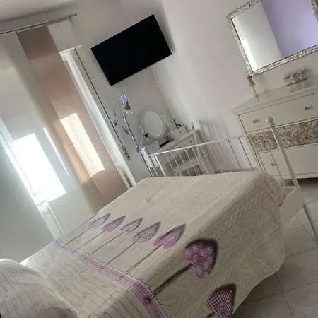 Polly راباللو