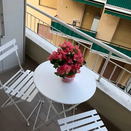 Polly راباللو