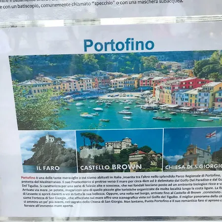 Polly Апартаменты *