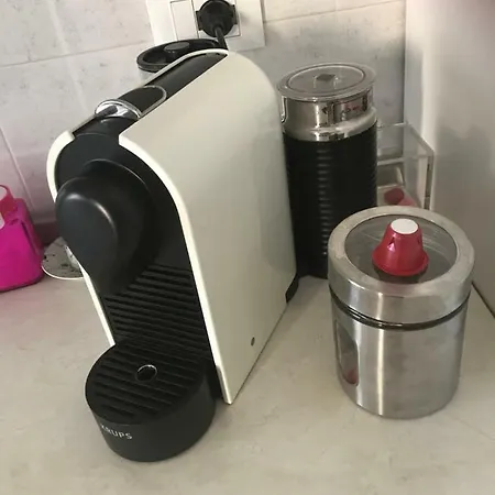 Polly * راباللو