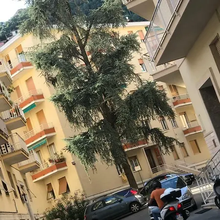 Polly Apartament *